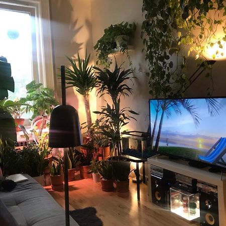 Urban Jungle Oasis In Queens! Lejlighed New York Eksteriør billede