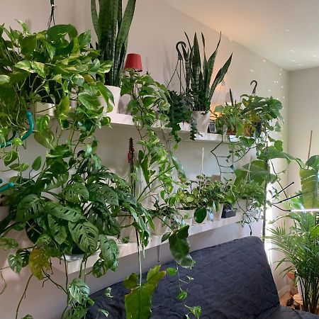Urban Jungle Oasis In Queens! Lejlighed New York Eksteriør billede