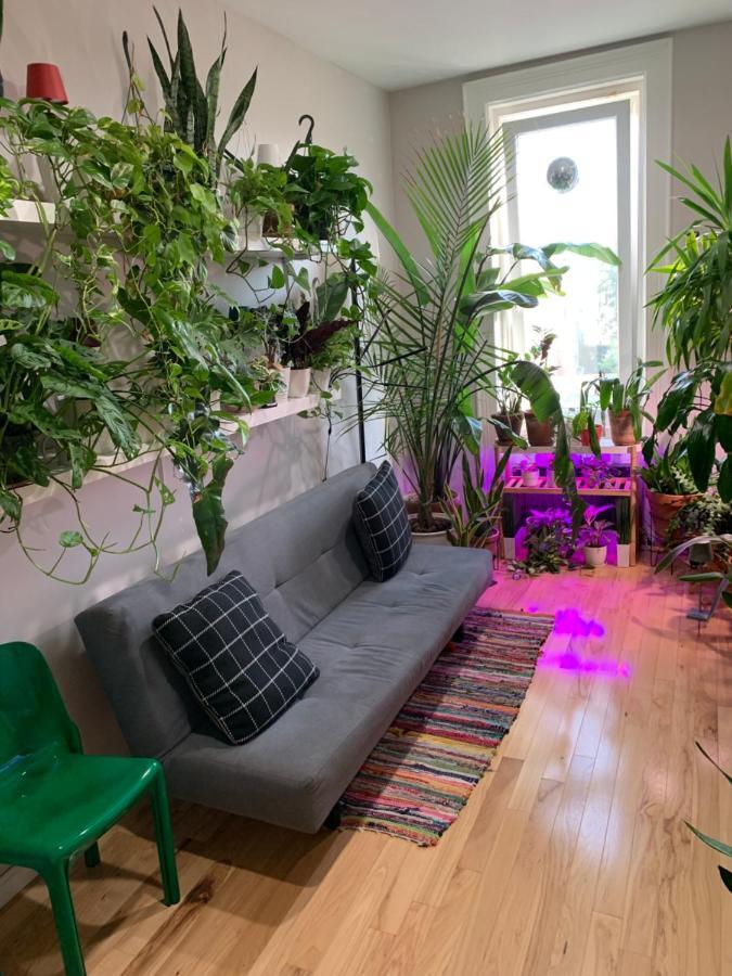 Urban Jungle Oasis In Queens! Lejlighed New York Eksteriør billede