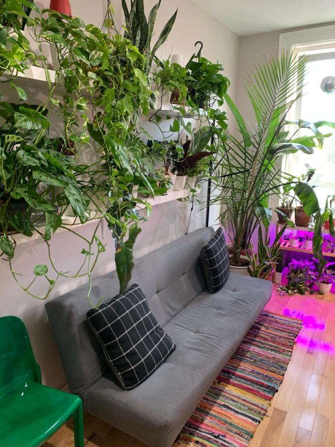 Urban Jungle Oasis In Queens! Lejlighed New York Eksteriør billede