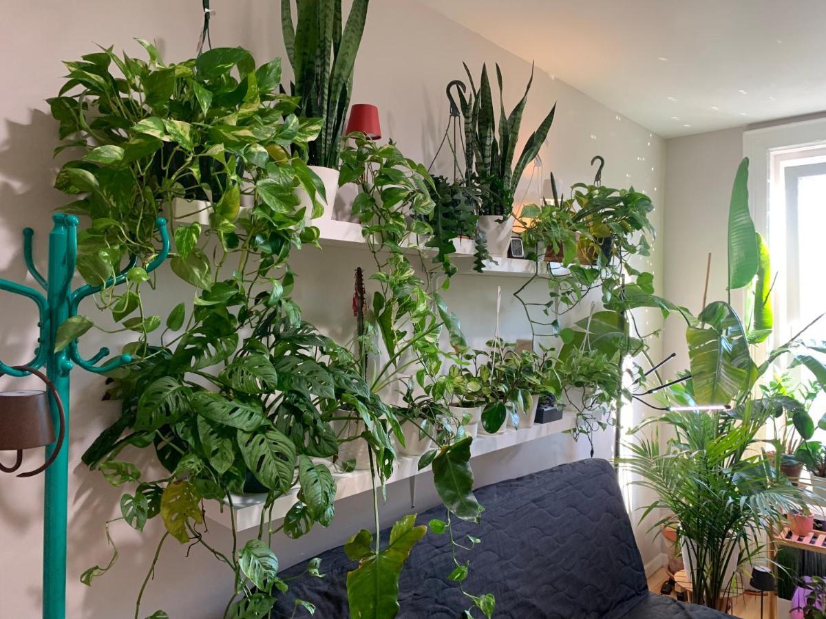 Urban Jungle Oasis In Queens! Lejlighed New York Eksteriør billede