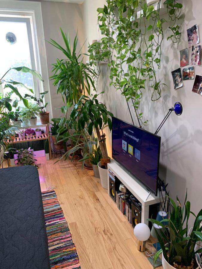 Urban Jungle Oasis In Queens! Lejlighed New York Eksteriør billede